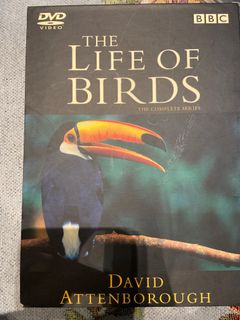 （分類：）位於 。 由 hellodear._ 提交（商品編號 1061628737，圖片 1）。簡介： 。