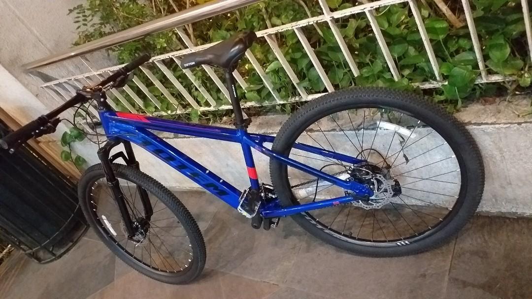 Totem flex sale mtb