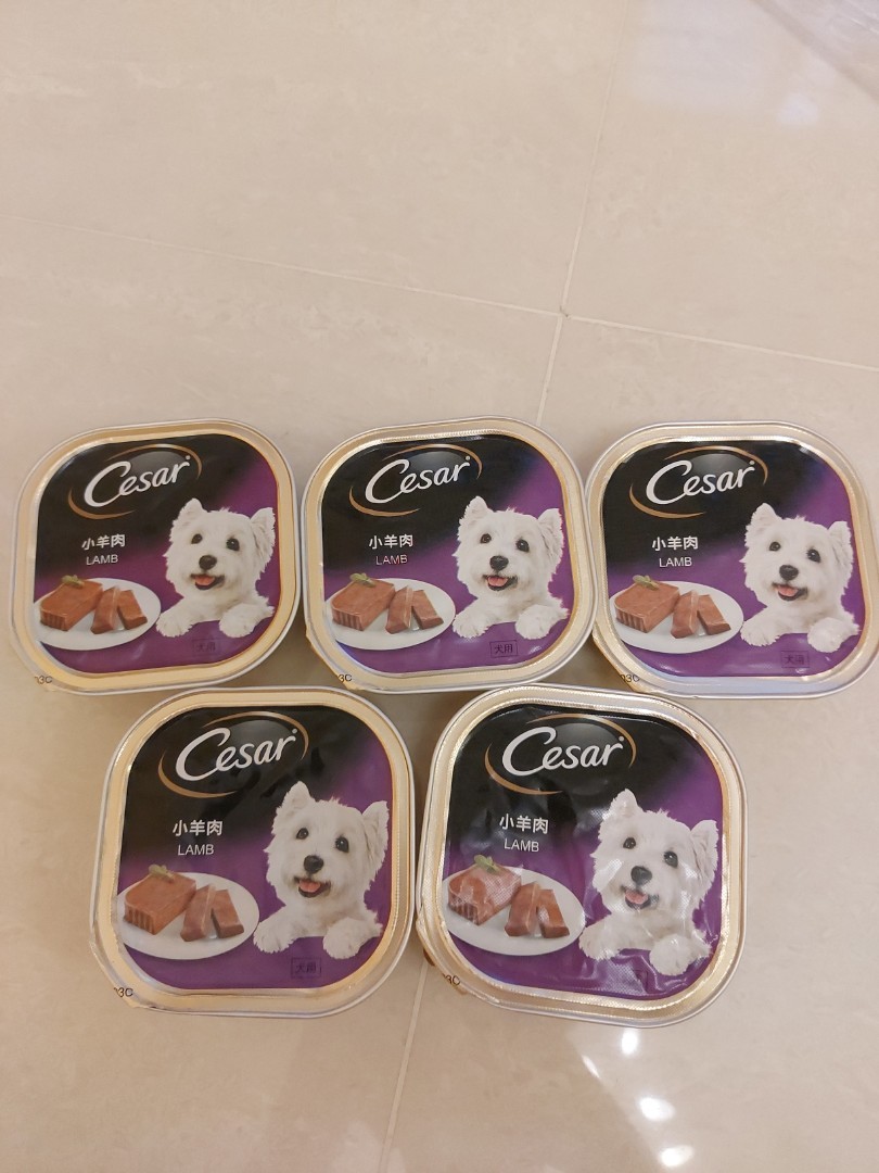 CESAR Lamb, Pet Supplies, Pet Food on Carousell