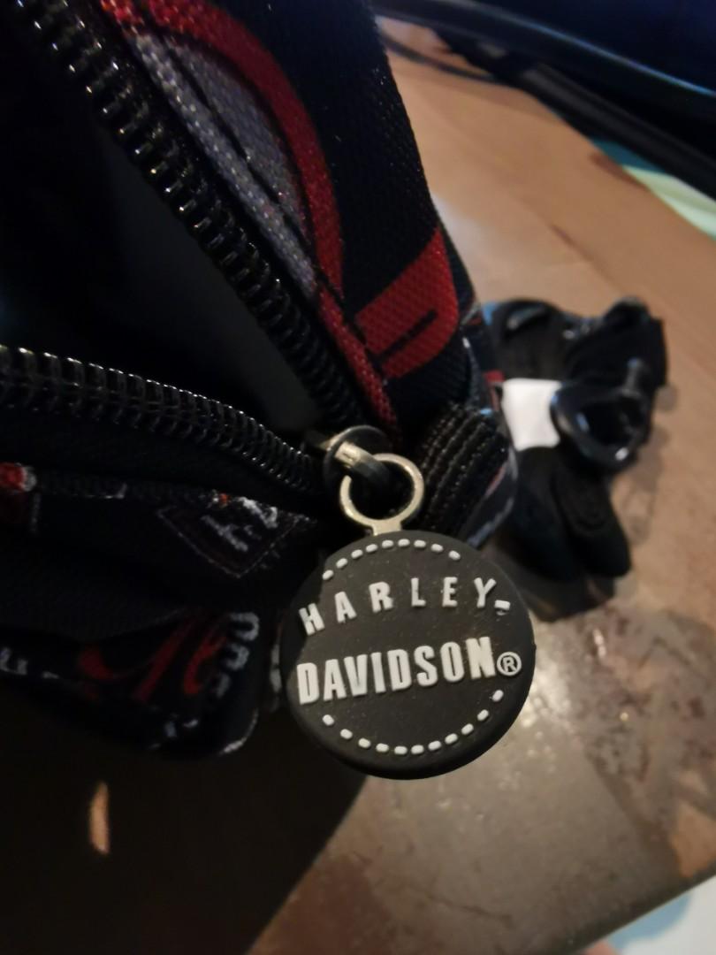 Harley Davidson Minime, Silver, One Size