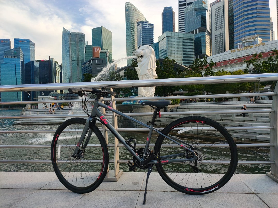 Liv Alight 2 (Grey) XS / S (148-168cm 
