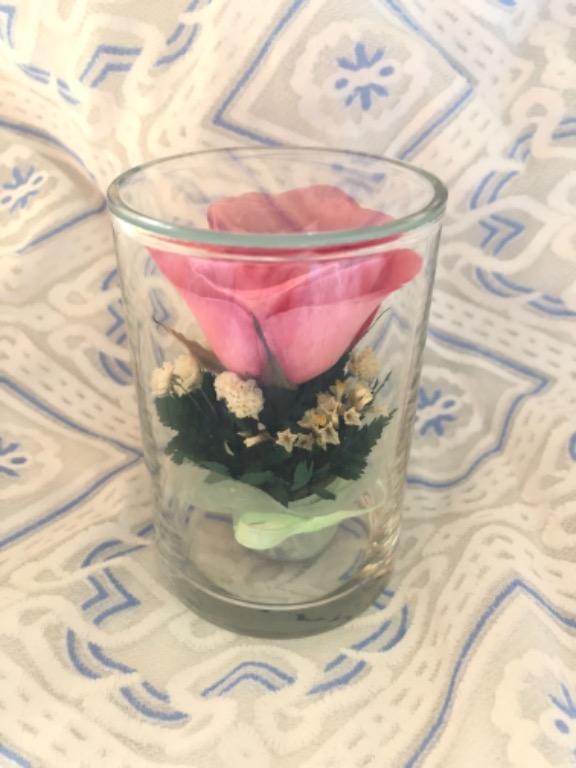 長期保存的泰國真花finline 傢俬 家居 家居裝飾 人工植物盆栽 Carousell