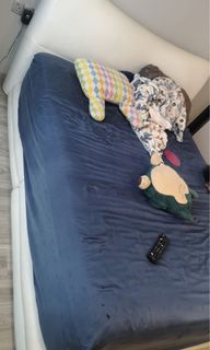 (Category: ) located in . Submitted by petpal (Listing ID 1118646311, Image 1). Description: .