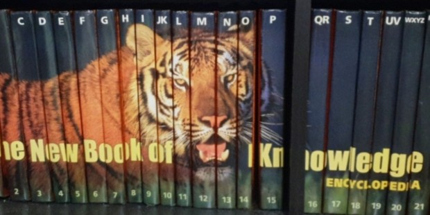 (Category: ) located in . Submitted by 2buckstextbook (Listing ID 1118712038, Image 1). Description: .