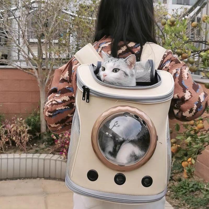 Cat globe backpack new arrivals