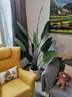 (Category: ) located in . Submitted by bbhappy123 (Listing ID 1118736647, Image 1). Description: .