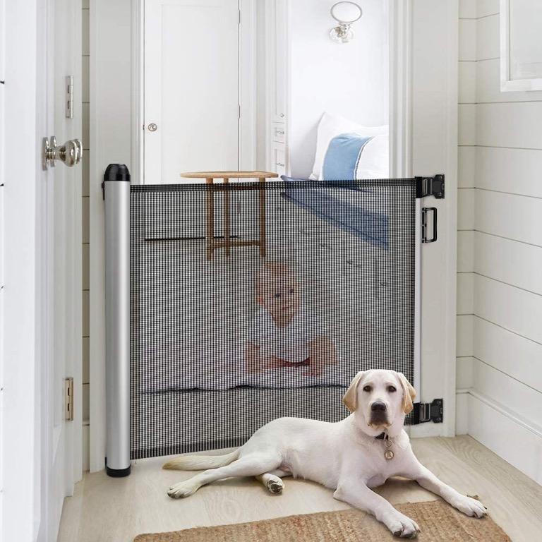 65 baby gate 2025