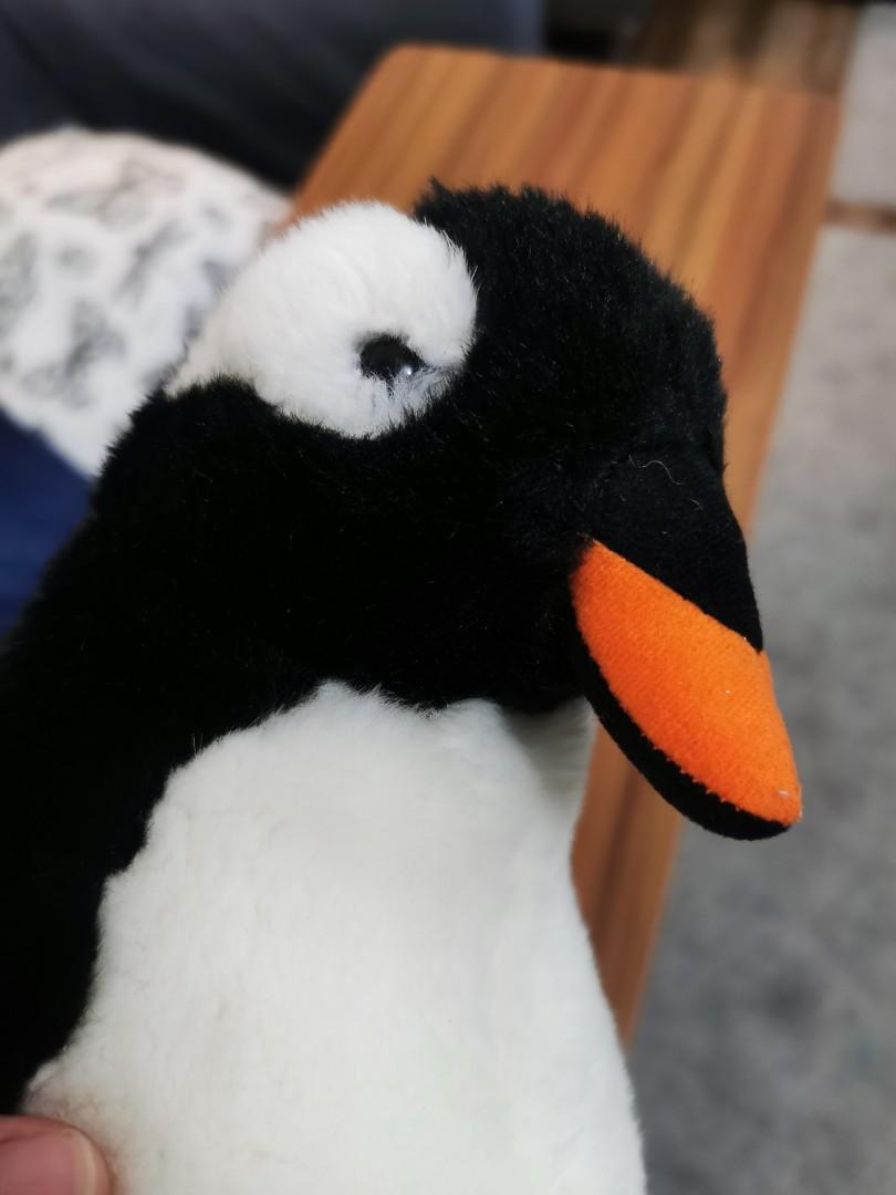 Penguin plushie soft toy from Singapore Zoo, Babies & Kids, Baby