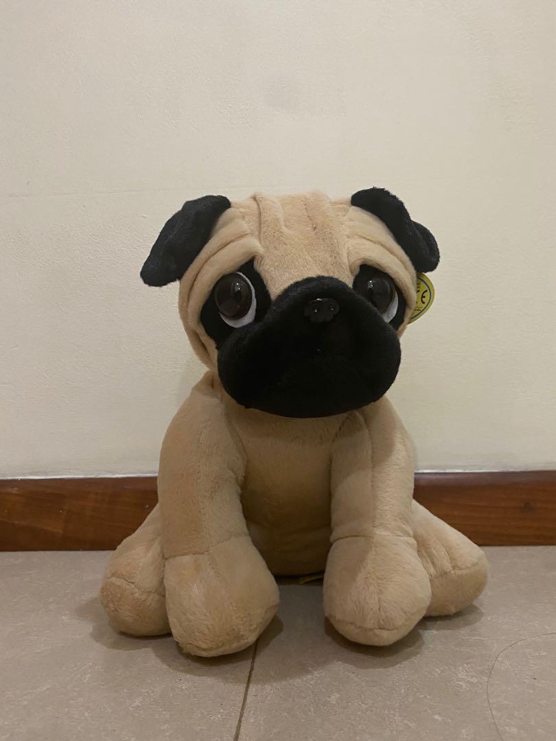 massive pug teddy