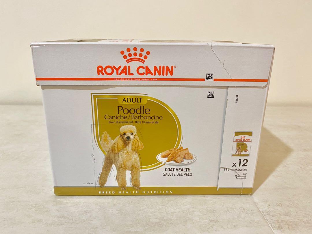 Royal Canin Poodle Wet Food Pouch Pet Supplies Pet Food on Carousell