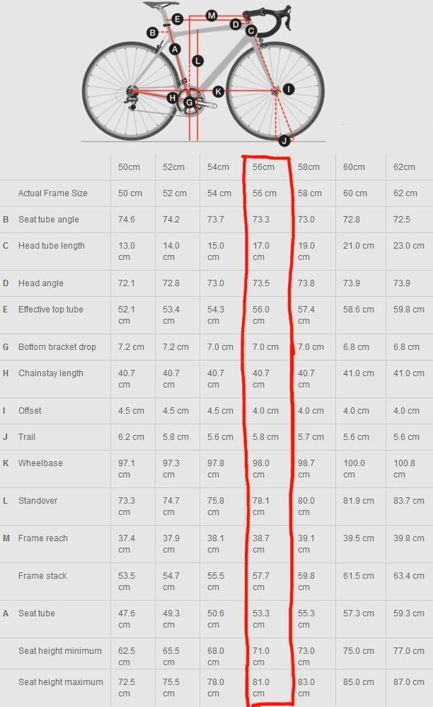 Trek madone 2.1 size guide 2025