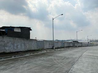 VACANT LOT FOR SALE (GOOD FOR BANKS, DRUGSTORES, RESTAURANTS AND OTHER RETAIL STORES) - Mindanao Avenue Extension (near General Luis)