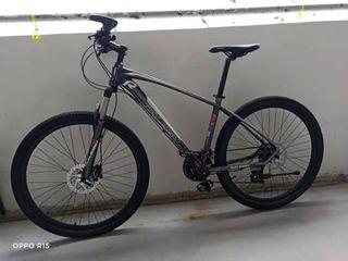 WTS> RALEIGH brand Bicycle