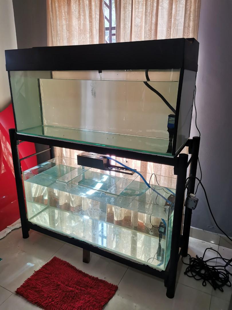 Double aquarium stand online