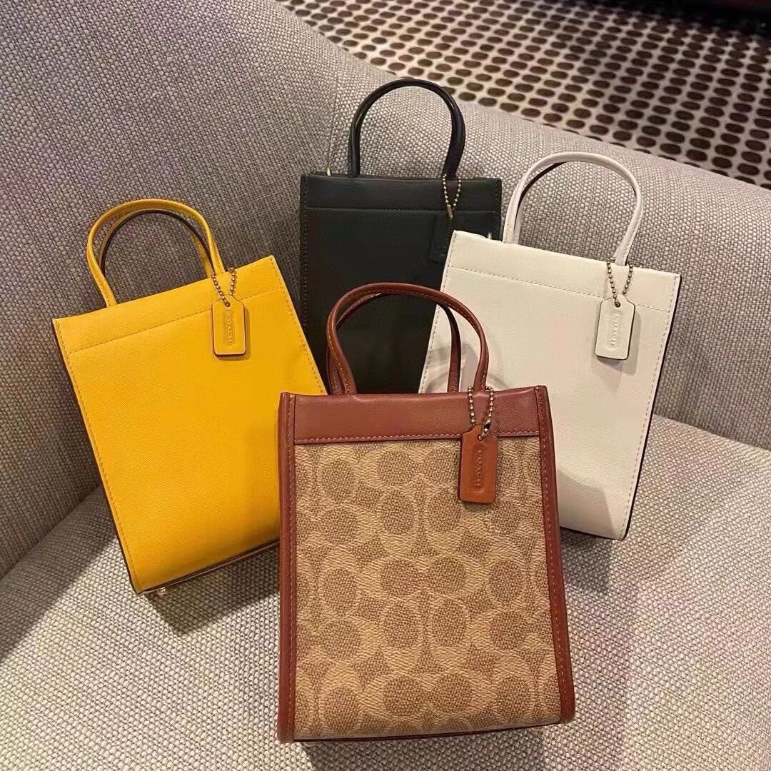 Coach Cashin Mini Tote, Women's Fashion, Bags & Wallets, Tote Bags on