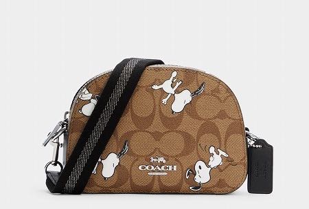 Coach X Snoopy Crossbody Bag, Women's Fashion, Bags & Wallets, Cross ...