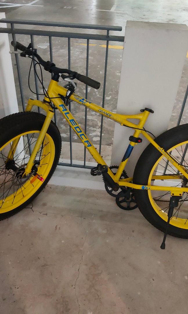 Aleoca fat bike shop