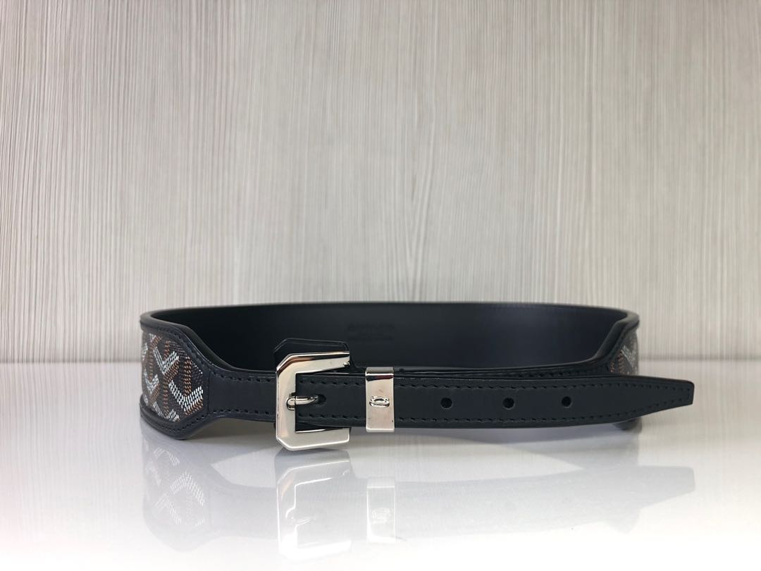 Goyard belt retail top