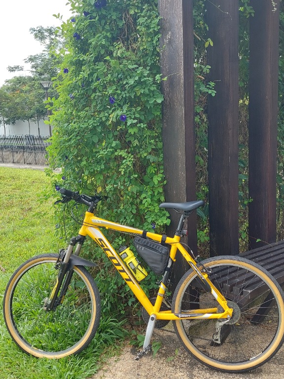 Scott aspect 50 hotsell