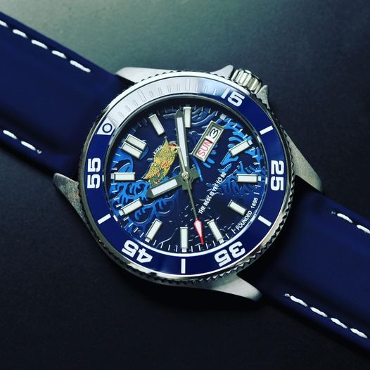 ACS customised Diver