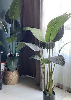 (Category: ) located in . Submitted by lynnnhow (Listing ID 1119119066, Image 1). Description: .