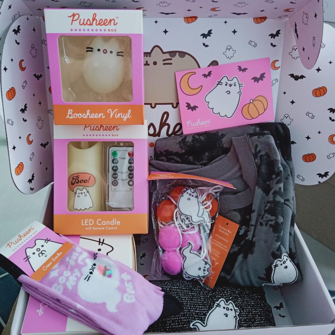 Pusheen Box  The Internet's Favorite Cat!