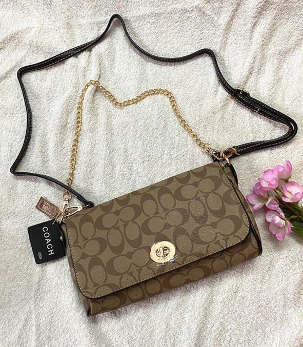 Coach dinner bag clearance