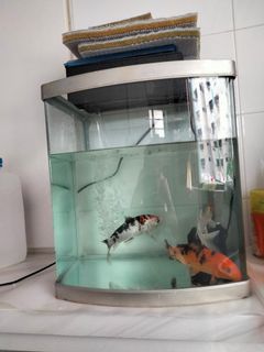 (Category: ) located in . Submitted by junfeixibi (Listing ID 1119092248, Image 1). Description: .