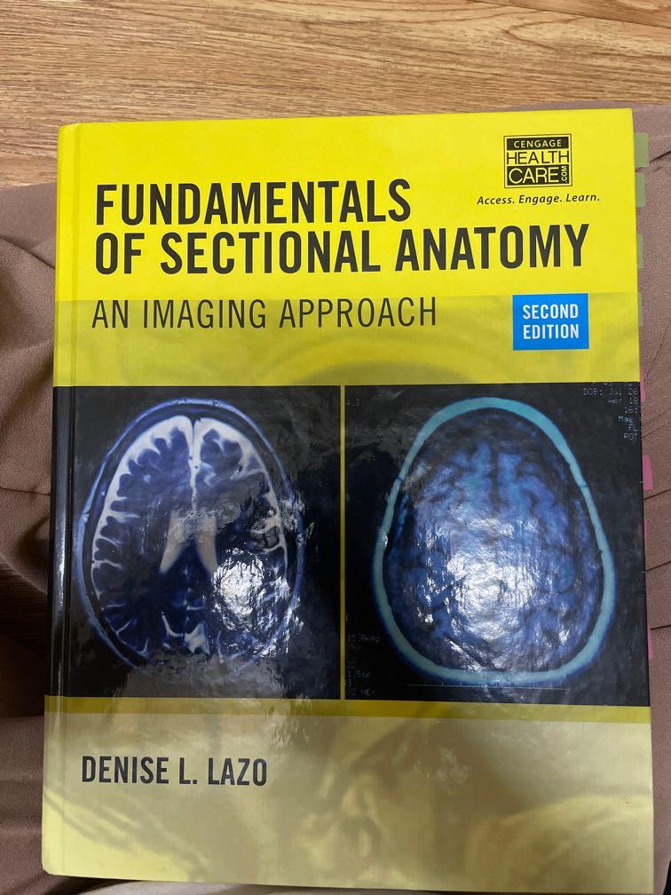 Fundamentals Of Sectional Anatomy Denise L Lazo Books Stationery Books On Carousell