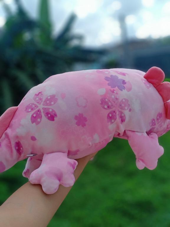 Mochipuni pig 2025