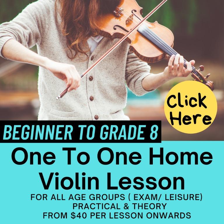 Private Violin Lesson Violin Instructor One to One Home Violin
