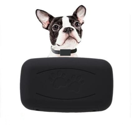 Surecom 1712 Gps定位器 寵物追蹤定位器 0017 0012 寵物用品 寵物家品及其他 Carousell