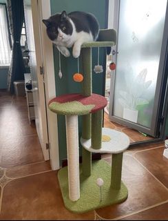 (Category: ) located in . Submitted by the_cornerstore (Listing ID 1119164138, Image 1). Description: .