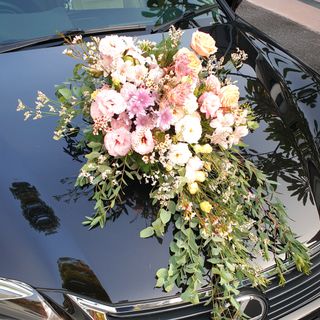 (Category: ) located in . Submitted by etoileflowers (Listing ID 1119249324, Image 1). Description: .
