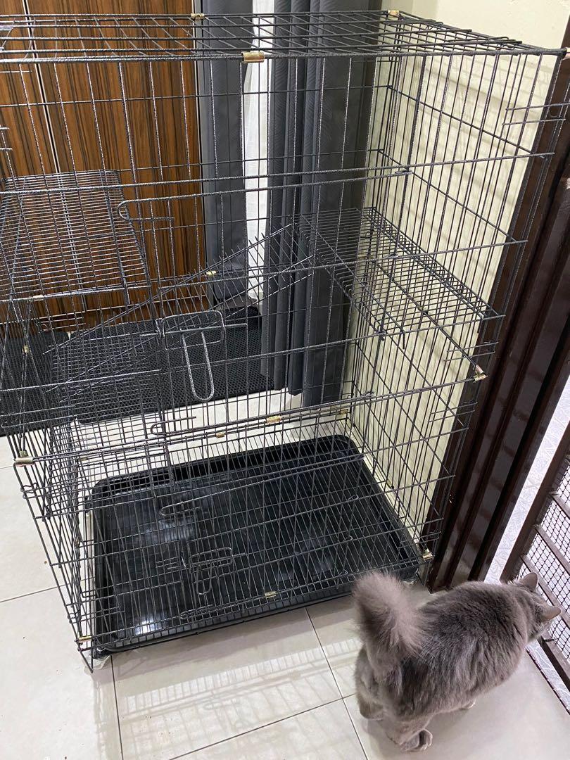 Cat cage