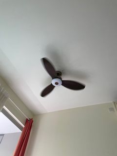 (Category: ) located in . Submitted by Lawliet_world (Listing ID 1118749166, Image 1). Description: .