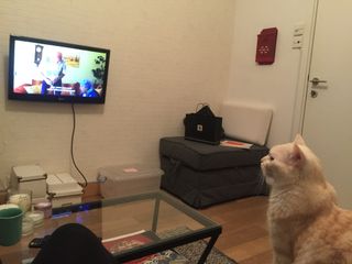 （分類：）位於 。 由 sonishak 提交（商品編號 1119292515，圖片 1）。簡介： 。