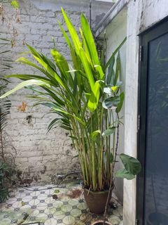(Category: ) located in . Submitted by sarah86clp (Listing ID 1119451995, Image 1). Description: .