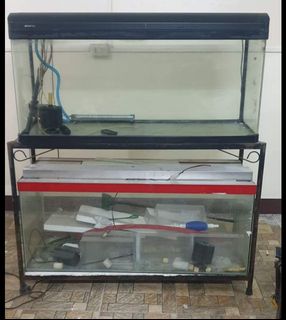 (Category: ) located in . Submitted by corajon05 (Listing ID 1119602972, Image 1). Description: .
