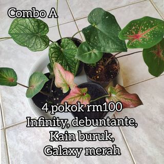 (Category: ) located in . Submitted by holifuzzaman (Listing ID 1119559521, Image 1). Description: .