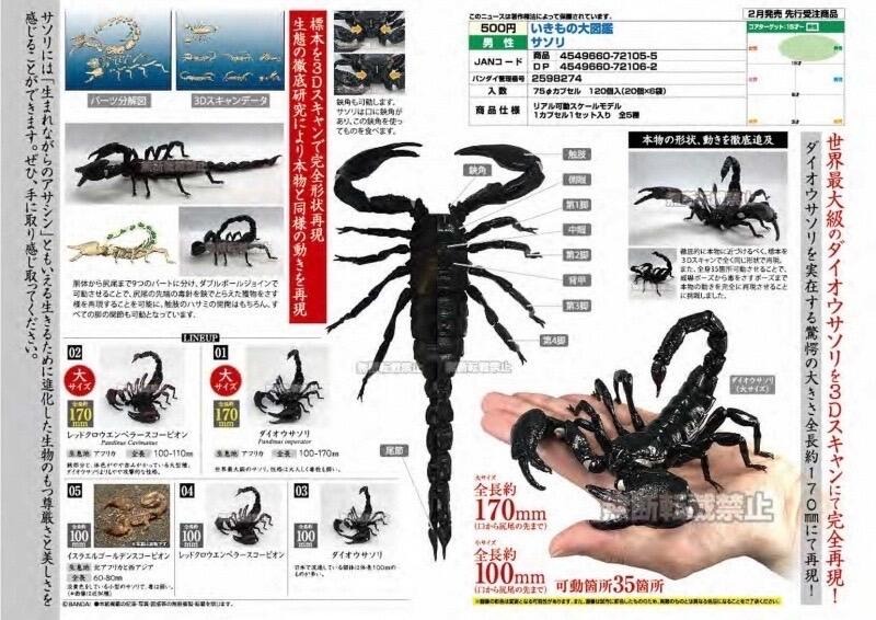 Feb Gacha Po Ikimono Encyclopedia Scorpion いきもの大図鑑 ｻｿﾘ 5pcs Set Hobbies Toys Memorabilia Collectibles J Pop On Carousell