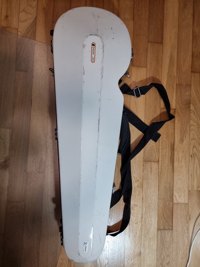 Fine Legend Violin 4/4, Hobbies & Toys, Music & Media, Musical