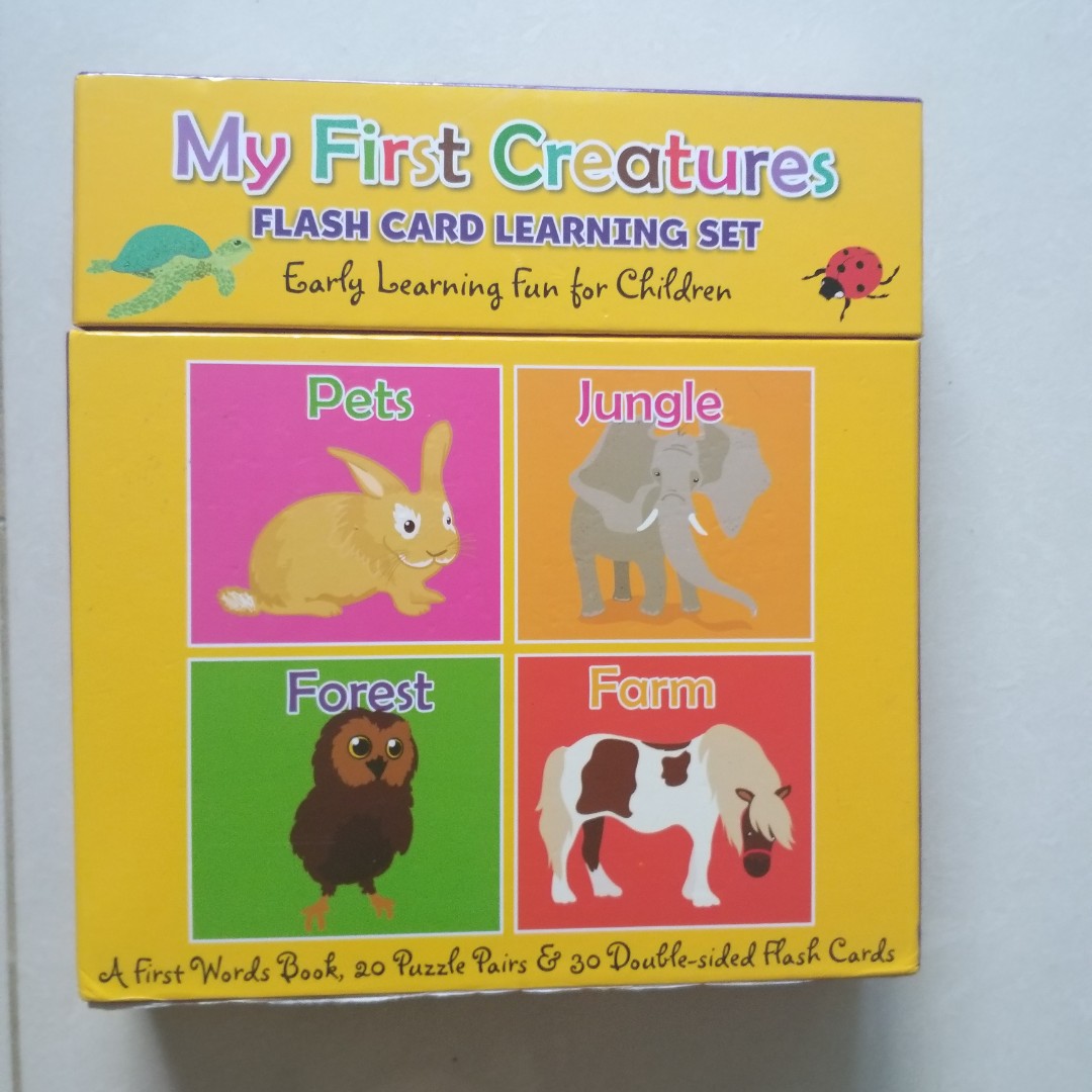 Flash Card Learning Set (jigsaw, flash cards & book), Hobbies & Toys ...