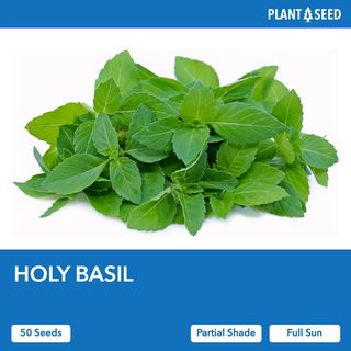 (Category: ) located in . Submitted by plantaseed (Listing ID 1119558944, Image 1). Description: .