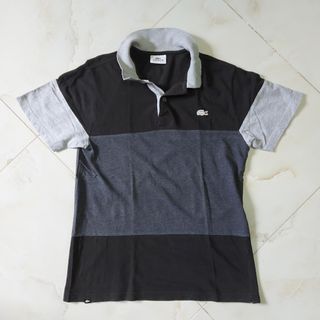 lacoste polo olx