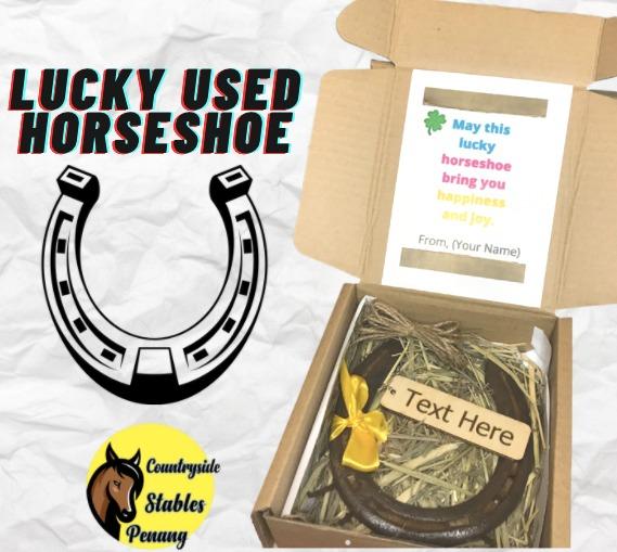 Lucky Horseshoe & Horse Pony Charm Keyring With Gift Bag