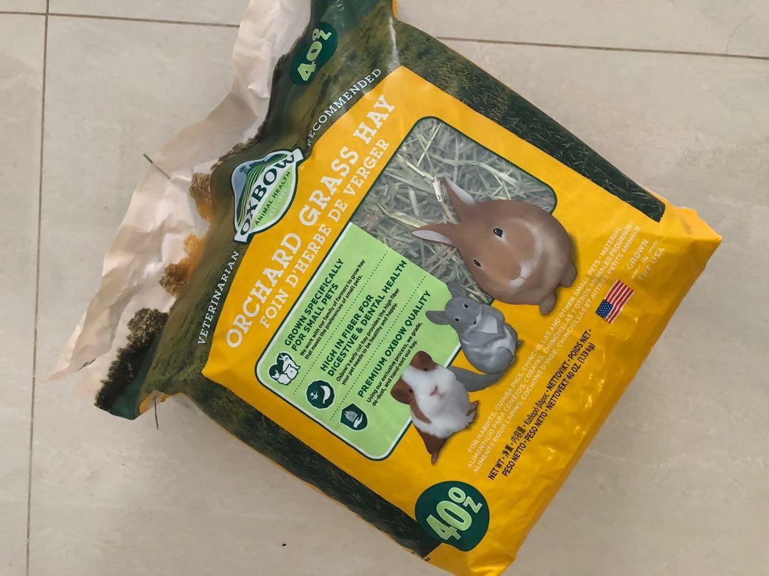 Orchard grass hay rabbit, Pet Supplies, Pet Food on Carousell