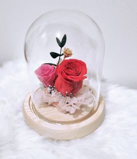 (Category: ) located in . Submitted by theflowerdome (Listing ID 1119591878, Image 1). Description: .