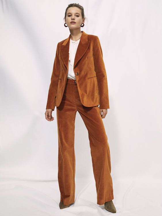 Wilfred Francesca Velvet Pants Aritzia 