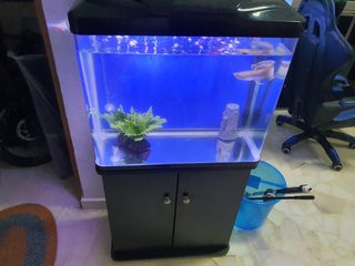 (Category: ) located in . Submitted by chiyaan (Listing ID 1119785265, Image 1). Description: .